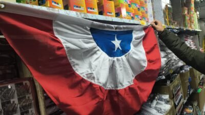 Bandera chilena tipo abanico